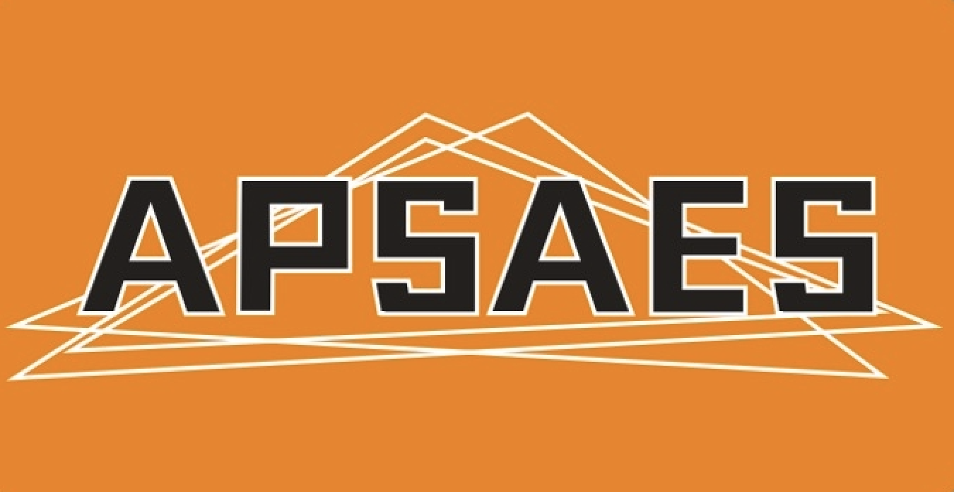 APSAES 标识